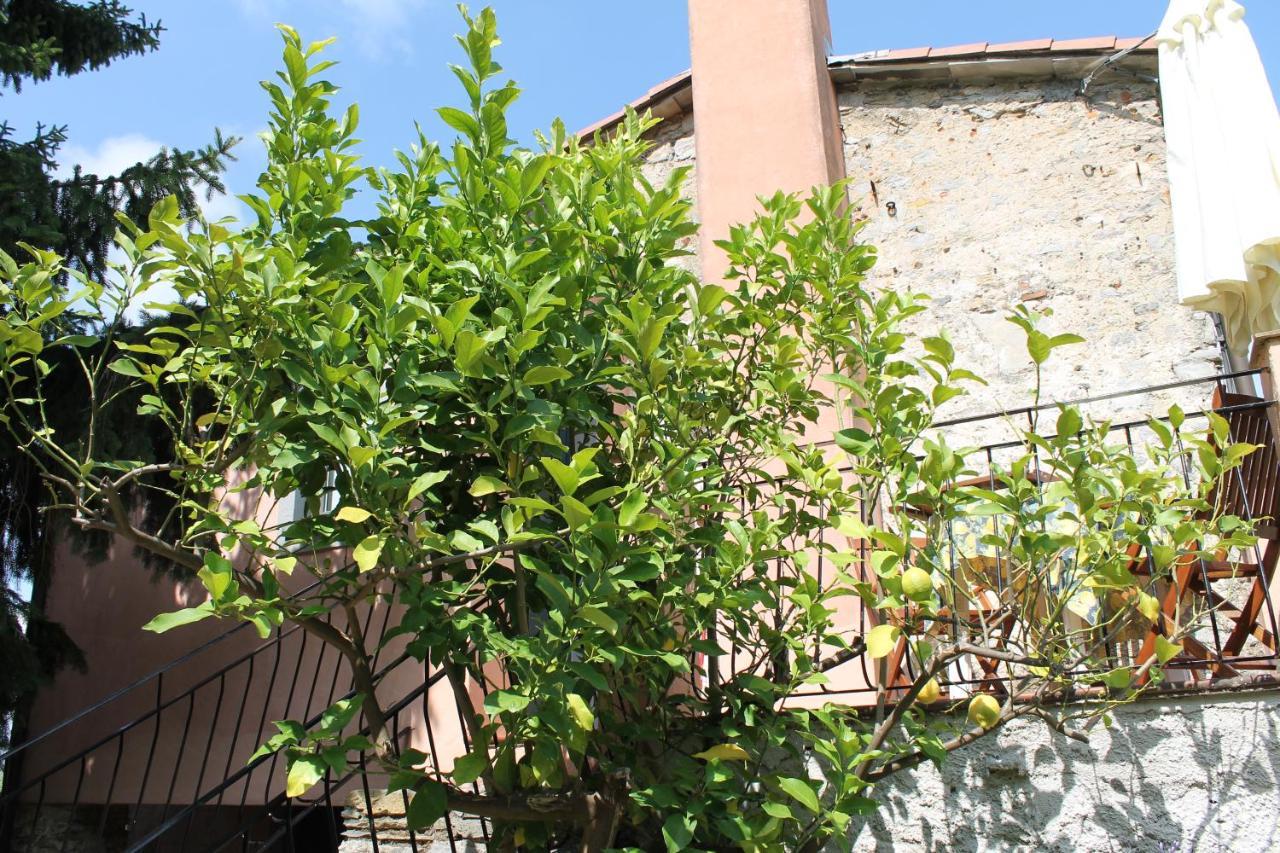 Agriturismo Terrazza Sul Golfo - Il Casale 라스페치아 외부 사진